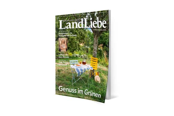 Cover LandLiebe 4+52026.png